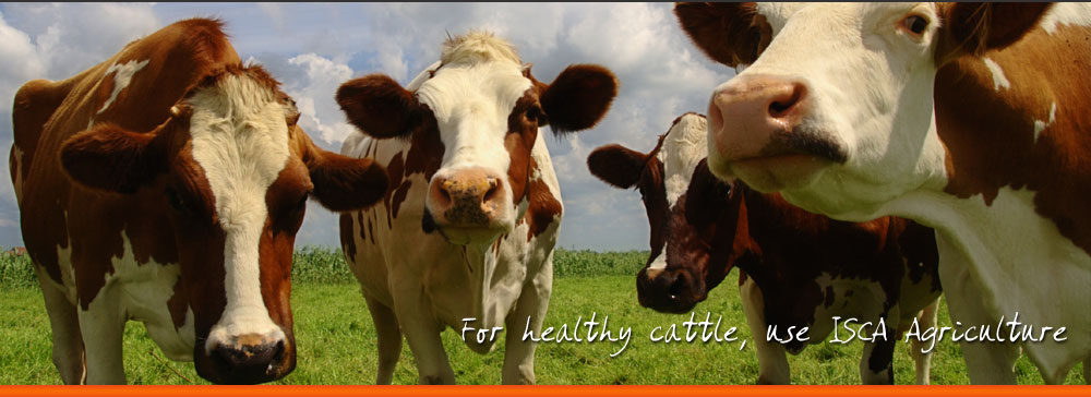 Livestock feeds